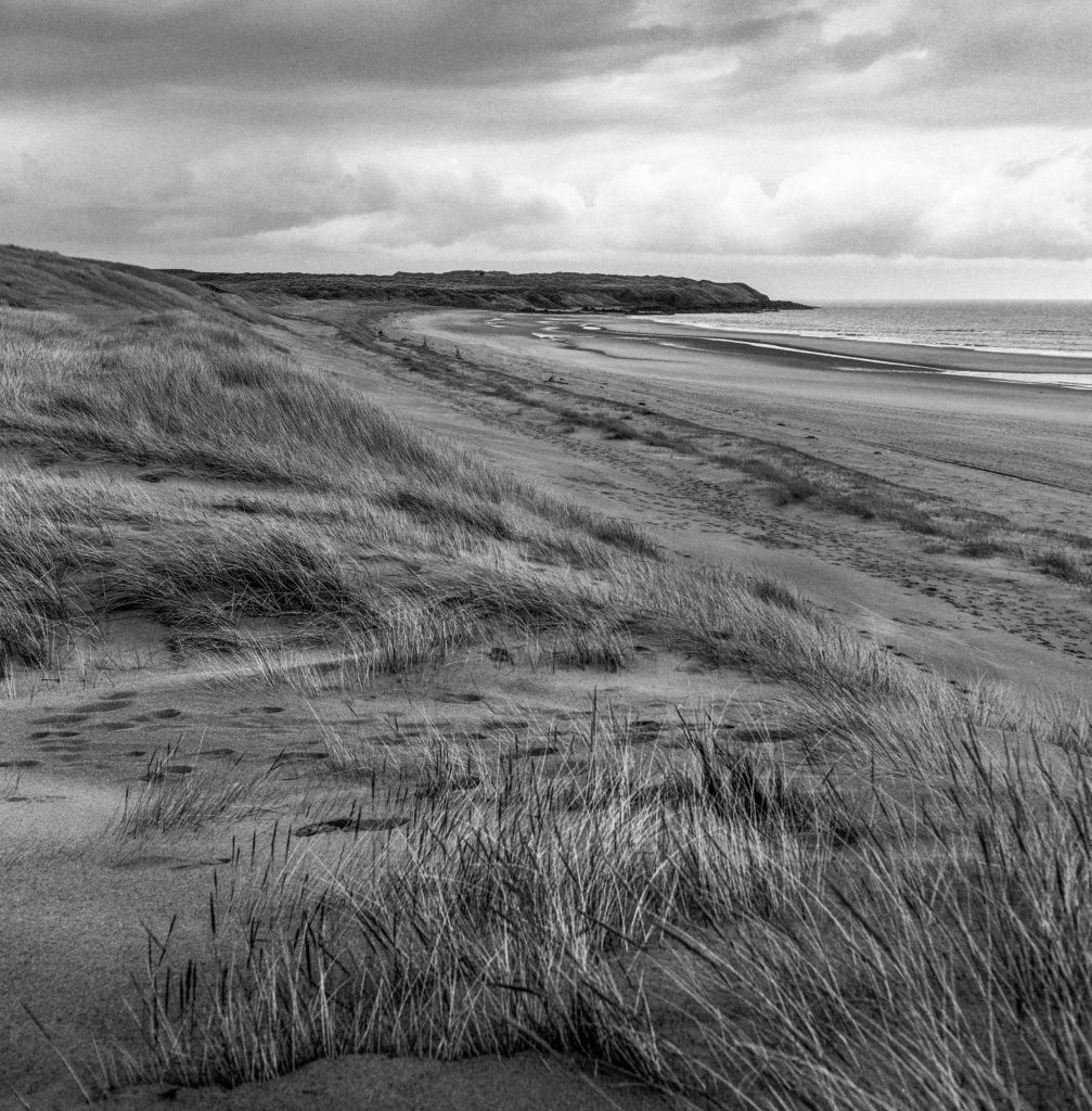 Beach and dunes with Marram Grass at Forvie, Aberdeenshire. Square format Monochrome film