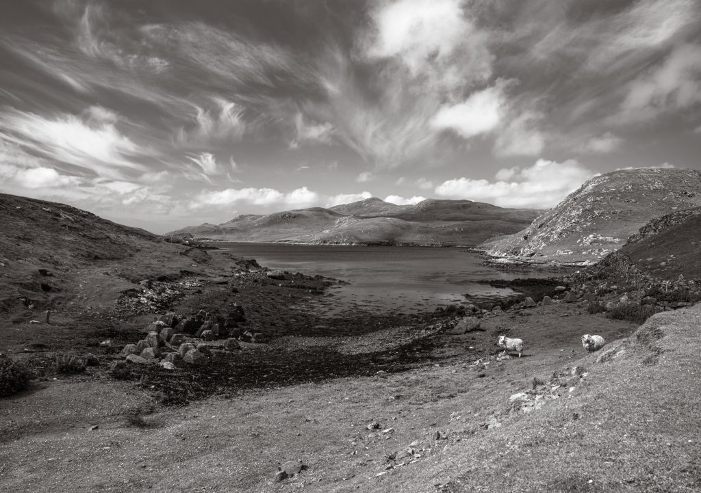 View West towards the Atlantic from Mavis Grind, Shetland. Monochrome image with prominent cloud detail and some sheep