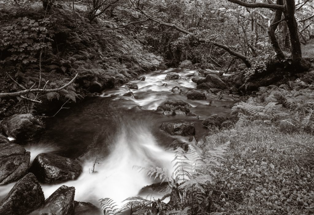 Large Format (5x4) film camera shot of the River Lickle in Cumbria, England