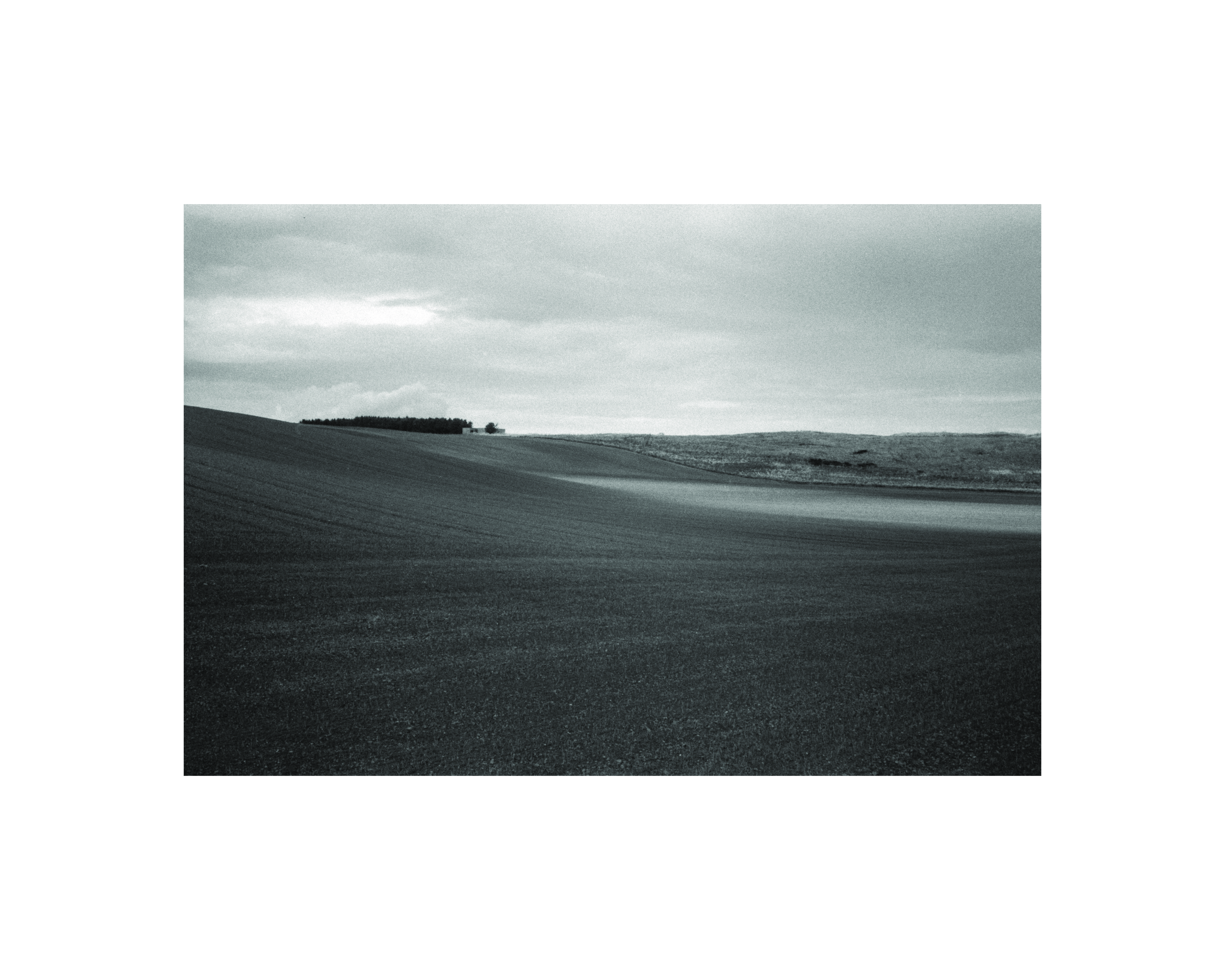 Field Textures